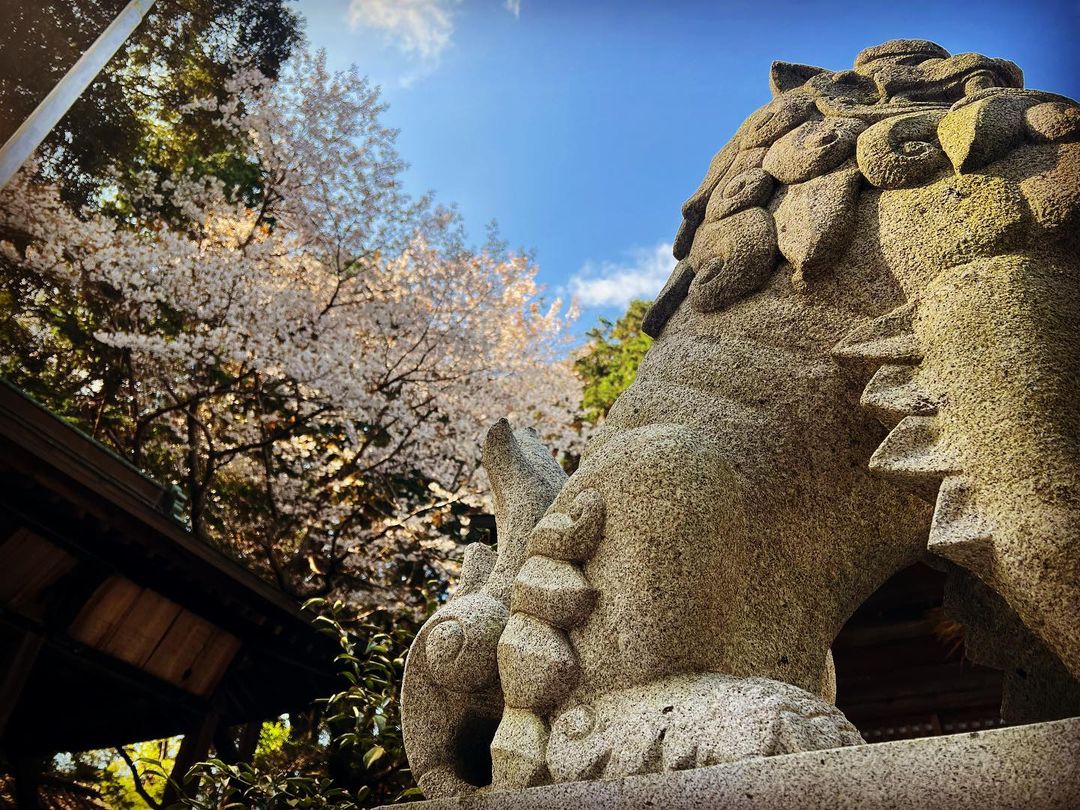 桜咲く | 静岡